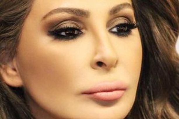 إليسا: حلب تحترق ويموتون قصفًا بالبراميل