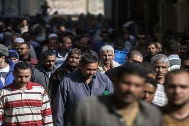 العمالة المصرية