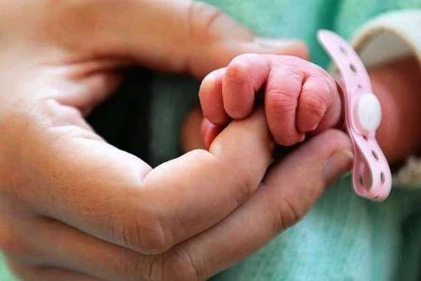 رخصة للإنجاب