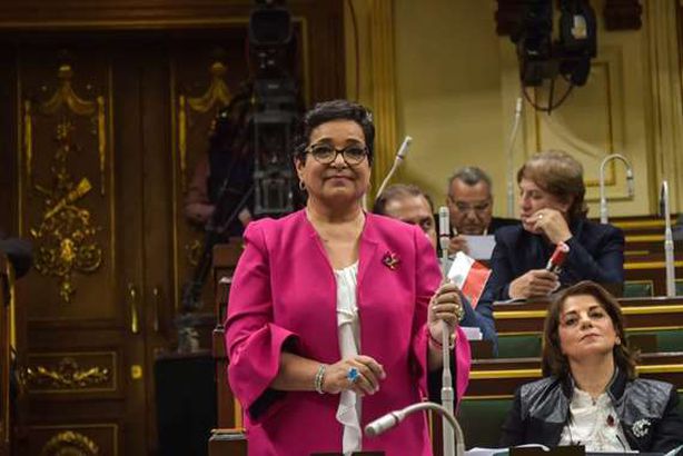 النائبة أنيسة حسونة