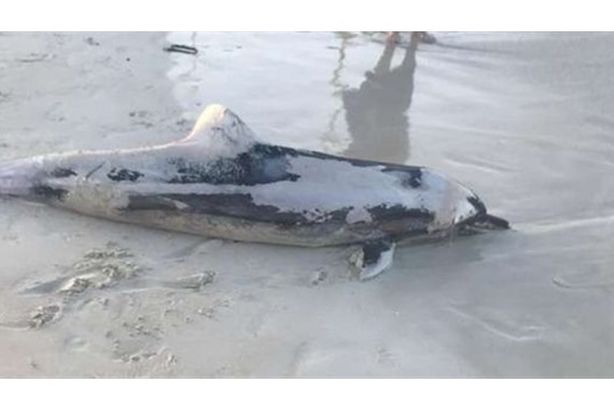 يييييييييييي