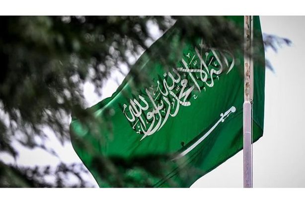 thumbs_b_c_f4a54a8f1d5157cd3893ba999a164e86