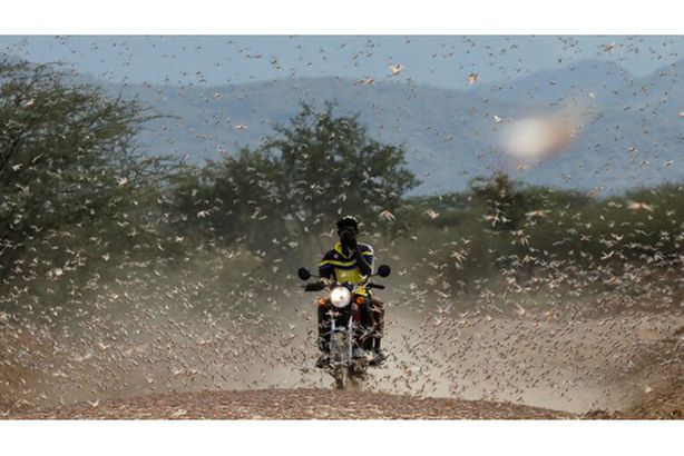 5f8edf99423604623f6051fc