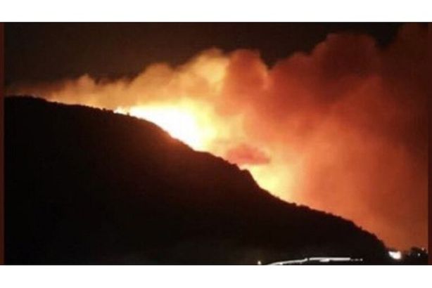 5f90a54a4c59b77ec6228e1b