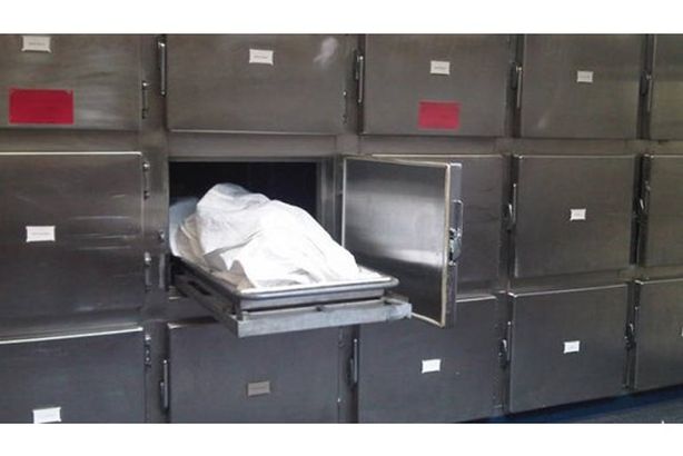 5421f50304a0ad97745e2f24