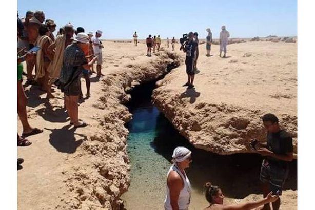 _15327133949571018_L