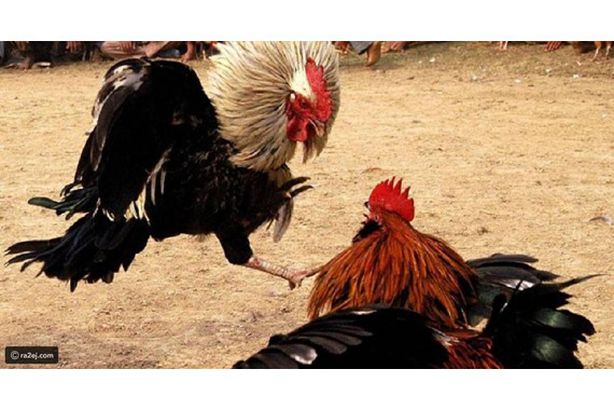 ca26d56d4f19842089a7bf8999da1fa245eb51cc-281020053010