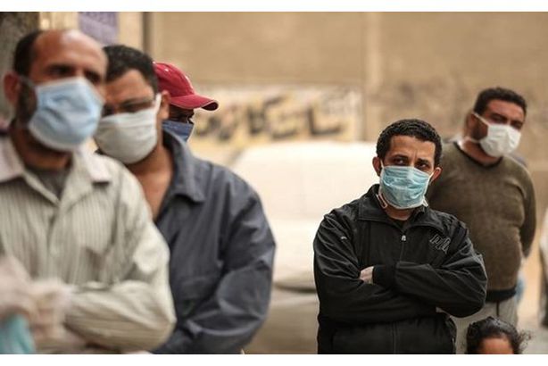 انتشار فيروس كورونا في مصر