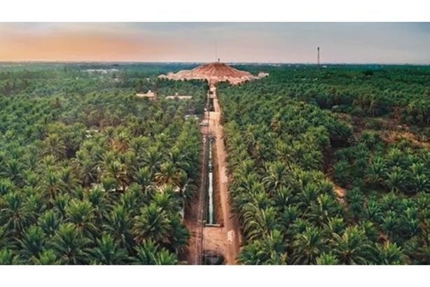 واحة الأحساء