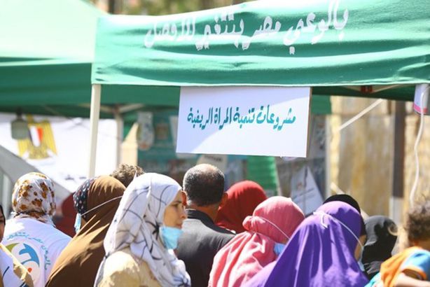 تنمية المرأة الريفية