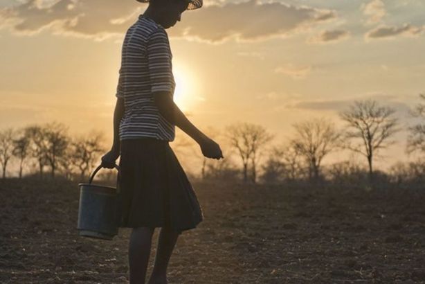 p-ZWE0263-1280x640-1180x620