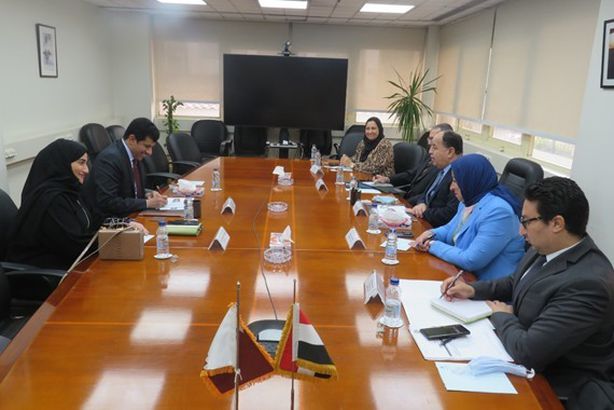 وزير المالية و السفير القطرى بالقاهرة
