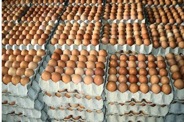 2019_6_30_11_59_22_532