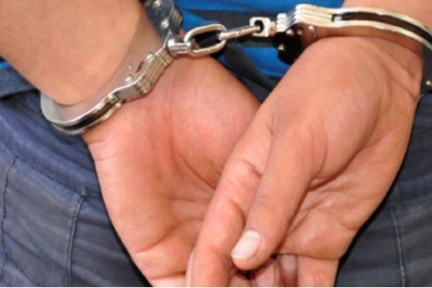 16731940372287202312280955545554