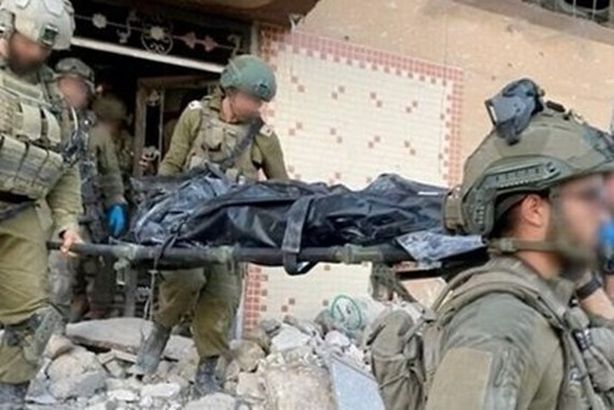 1QqDVO4jR0_1729333375