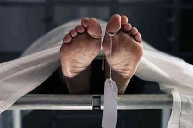 2023_4_17_0_20_5_359