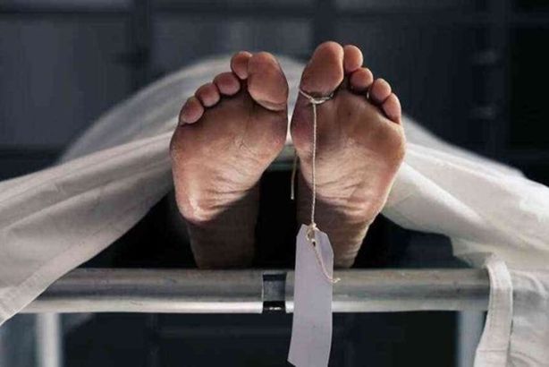 alrasheedmedia-6666bde952e68-860x487