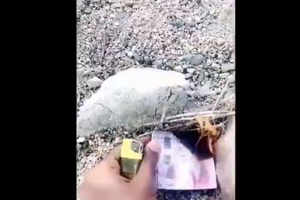 كويتي يشعل النار بالدينار لتسخين الشاي