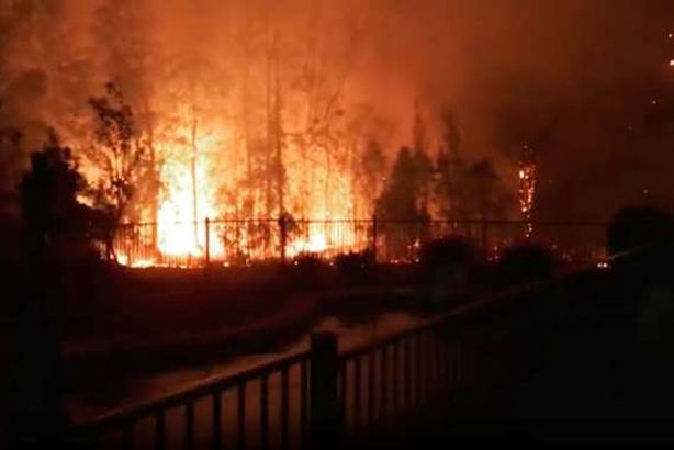 حرائق استراليا