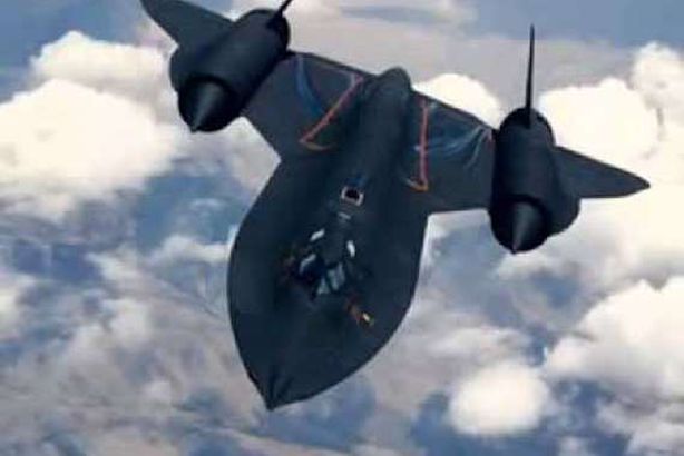 الطائرالاسود