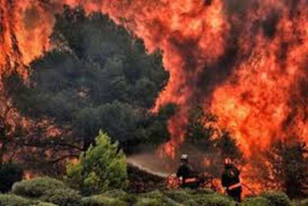 حرائق الغابات في استراليا