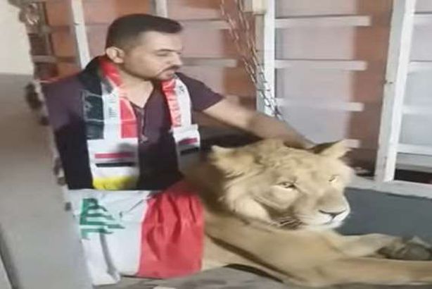 مقطع من الفيديو