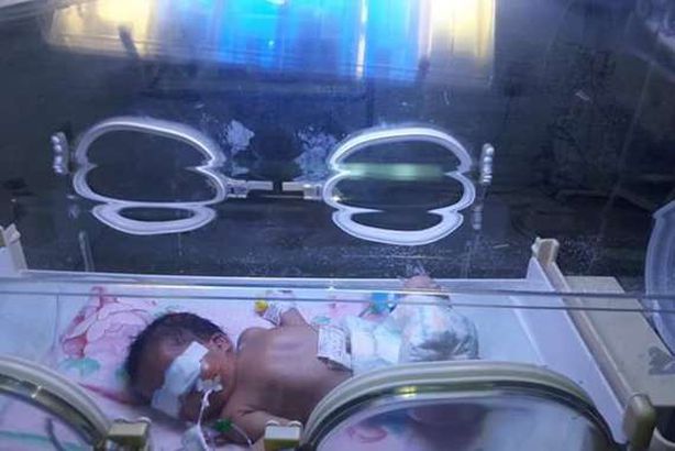 الطفلة في الحضانة