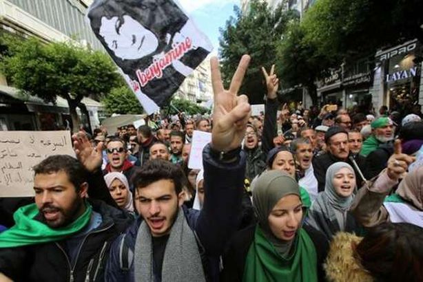 مظاهرات الجزائر