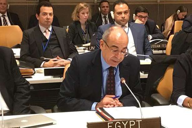 مندوب مصر الدائم لدى الأمم المتحدة في نيويورك
