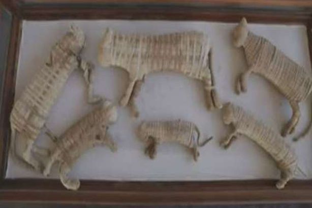 مومياوات سقارة