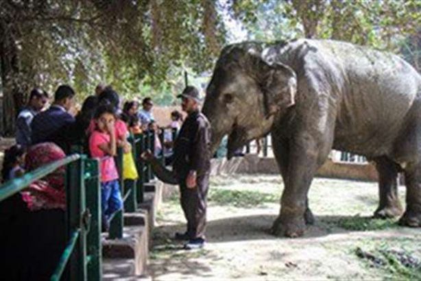 حديقة حيوان الجيزة