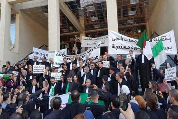 القضاة المعتصمين في الجزائر
