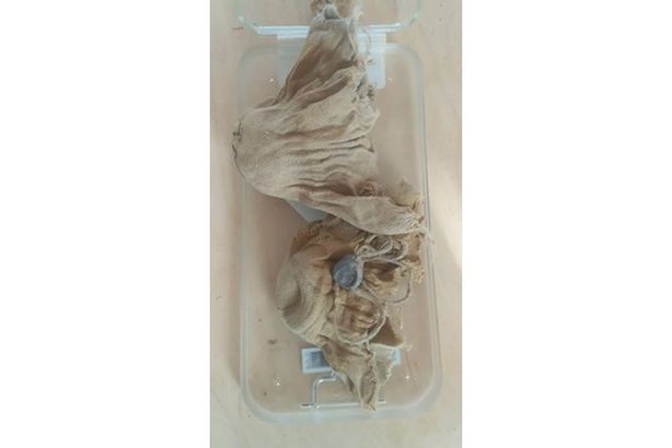 دنانير من العصر العباسي