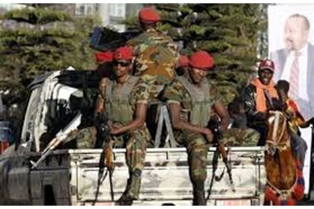 353321قوات إقليم تيجراي