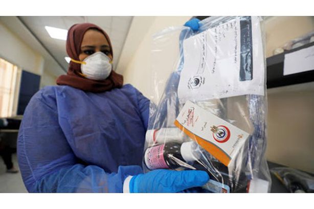 كورونا في مصر