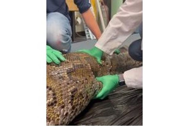 2022_11_12_13_53_12_216