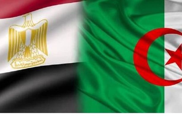 6374d3ef4236046ea566b826