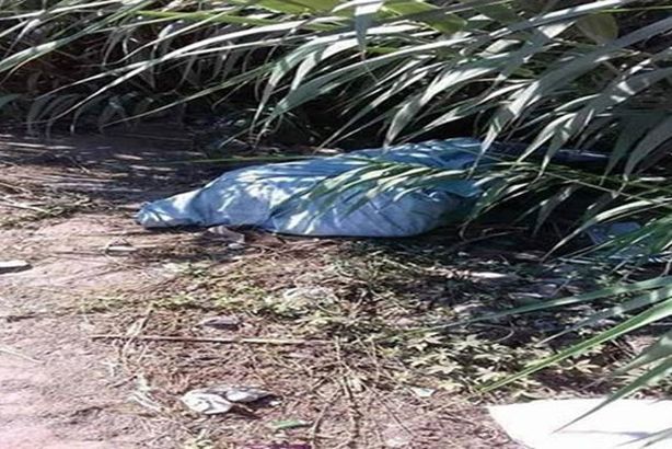 2022_10_19_12_29_24_601