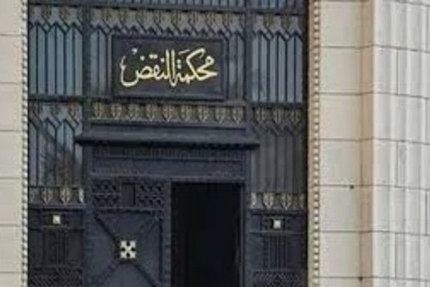 8686492210120251028034503453