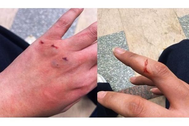 79320920436620251126115507557