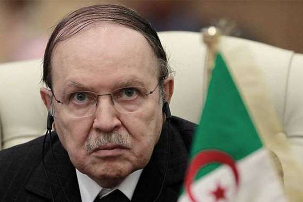 الرئيس الجزئري عبدالعزيز بوتفليقة