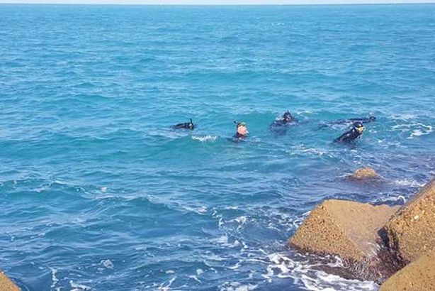 غريق استانلي