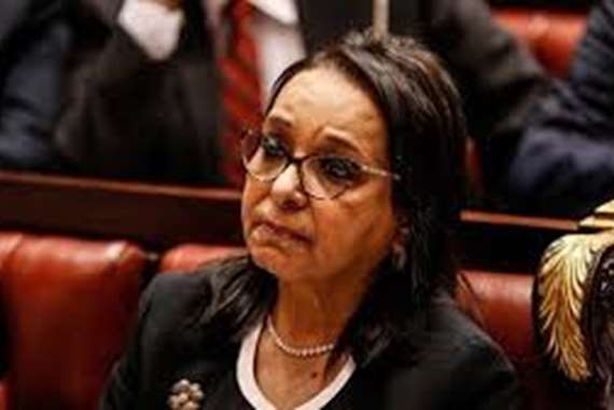 أنيسة حسونة، عضو مجلس النواب