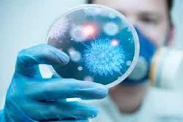 فيروس" كورونا"