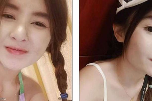 الفتاة المختفية
