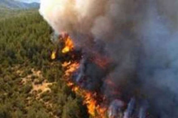 حرائق استراليا