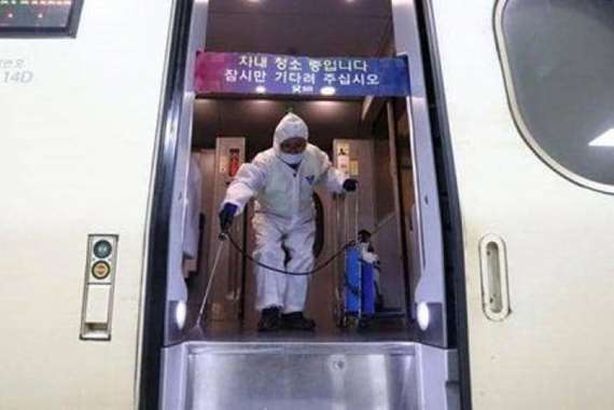 ضحايا"كورونا" 

