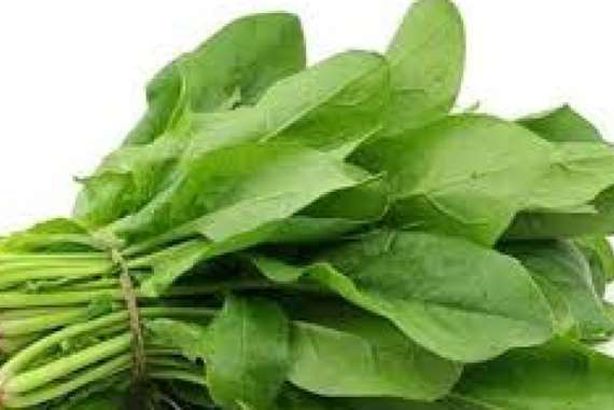 السبانخ