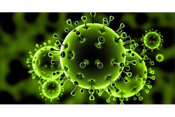 صورة-تخيلية-ل-فيروس-كورونا-الجديد-الغامض-coronavirus-2020