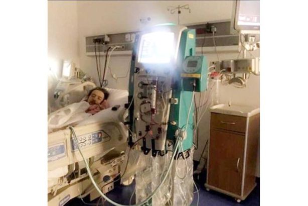 lfnn_khld_smy_fy_lmstshf